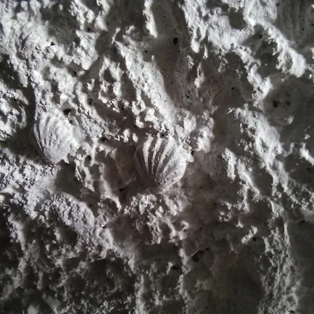 Les Coquillages Villa Essoyes Buitenkant foto